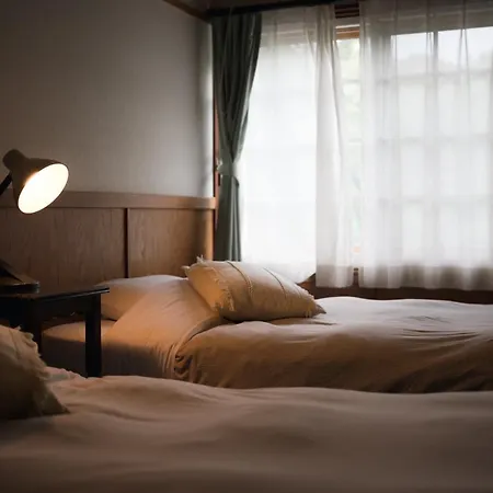 Hakuba Pension & Log Hotel Meteor 外观 照片