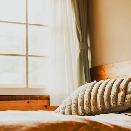Hakuba Pension & Log Hotel Meteor 外观 照片