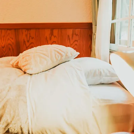 Hakuba Pension & Log Hotel Meteor 外观 照片